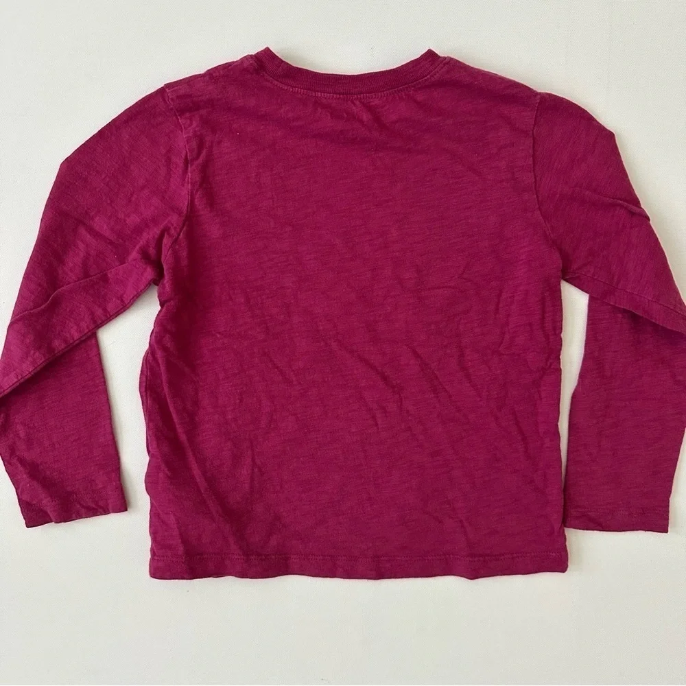 Baby Gap Girls Long Sleeve Graphic Shirt Size 5 Years